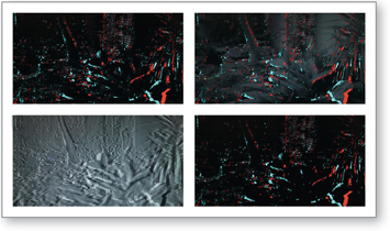 CinemonitorHD 3DView S difference modes