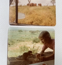 Mike Murphy - Family safari trip to Tsavo National Park